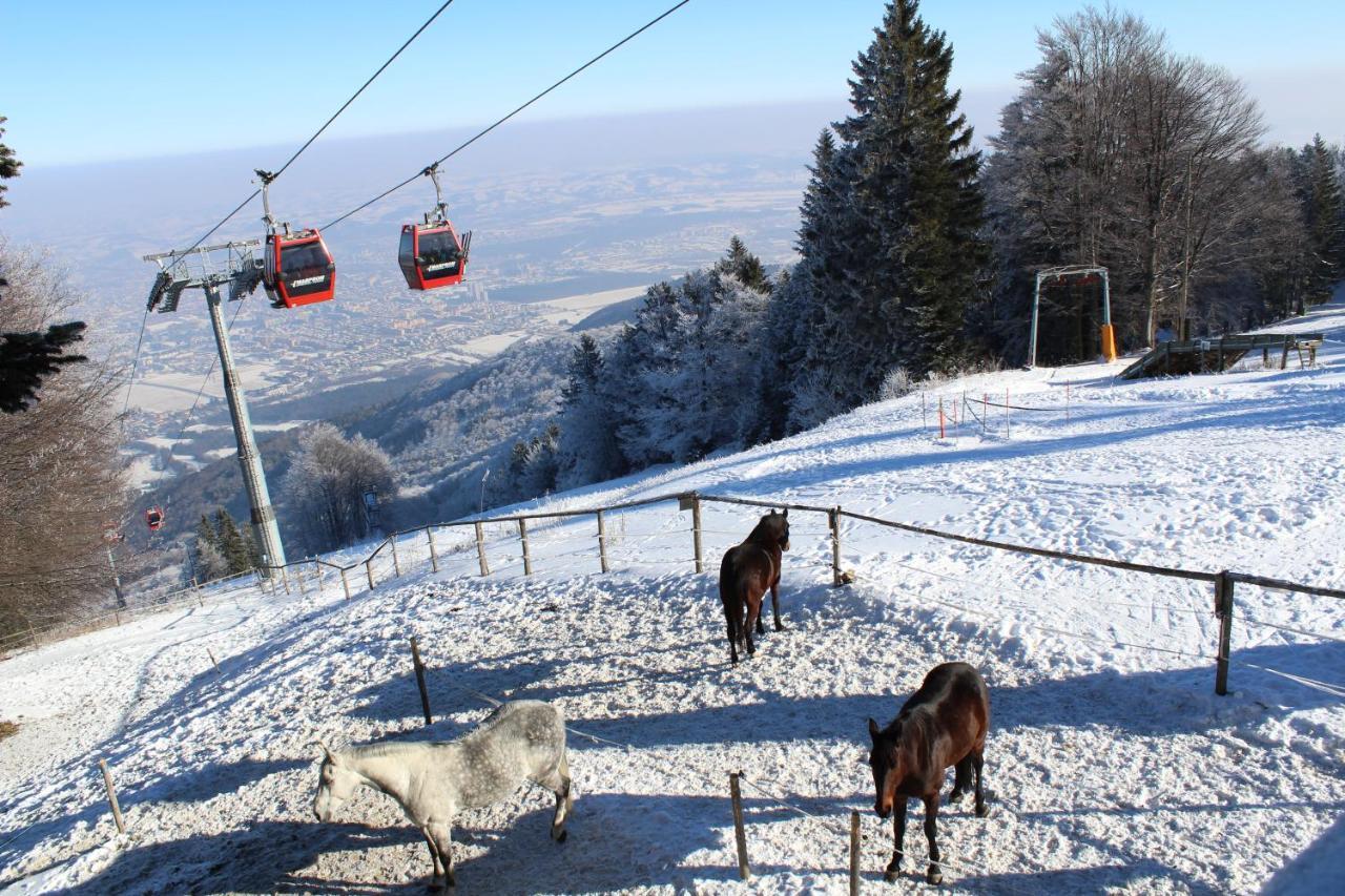 Pohorje Village Wellbeing Resort - Forest Hotel Videc Hočko Pohorje Εξωτερικό φωτογραφία