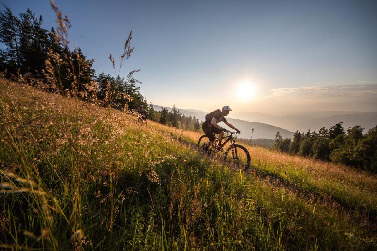 Pohorje Village Wellbeing Resort - Forest Hotel Videc Hočko Pohorje Εξωτερικό φωτογραφία