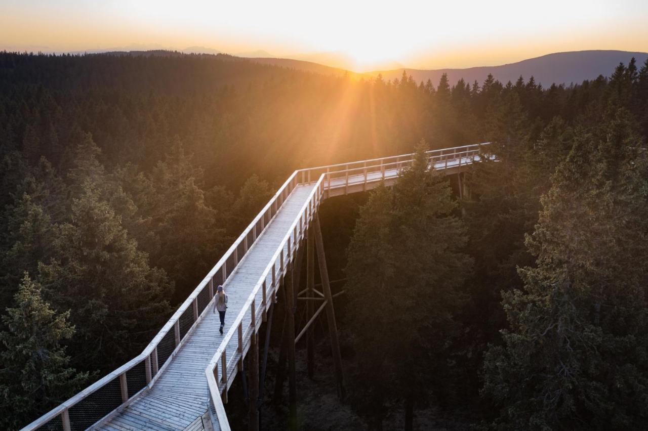 Pohorje Village Wellbeing Resort - Forest Hotel Videc Hočko Pohorje Εξωτερικό φωτογραφία
