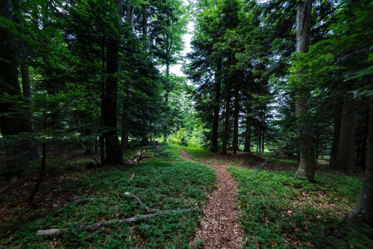 Pohorje Village Wellbeing Resort - Forest Hotel Videc Hočko Pohorje Εξωτερικό φωτογραφία