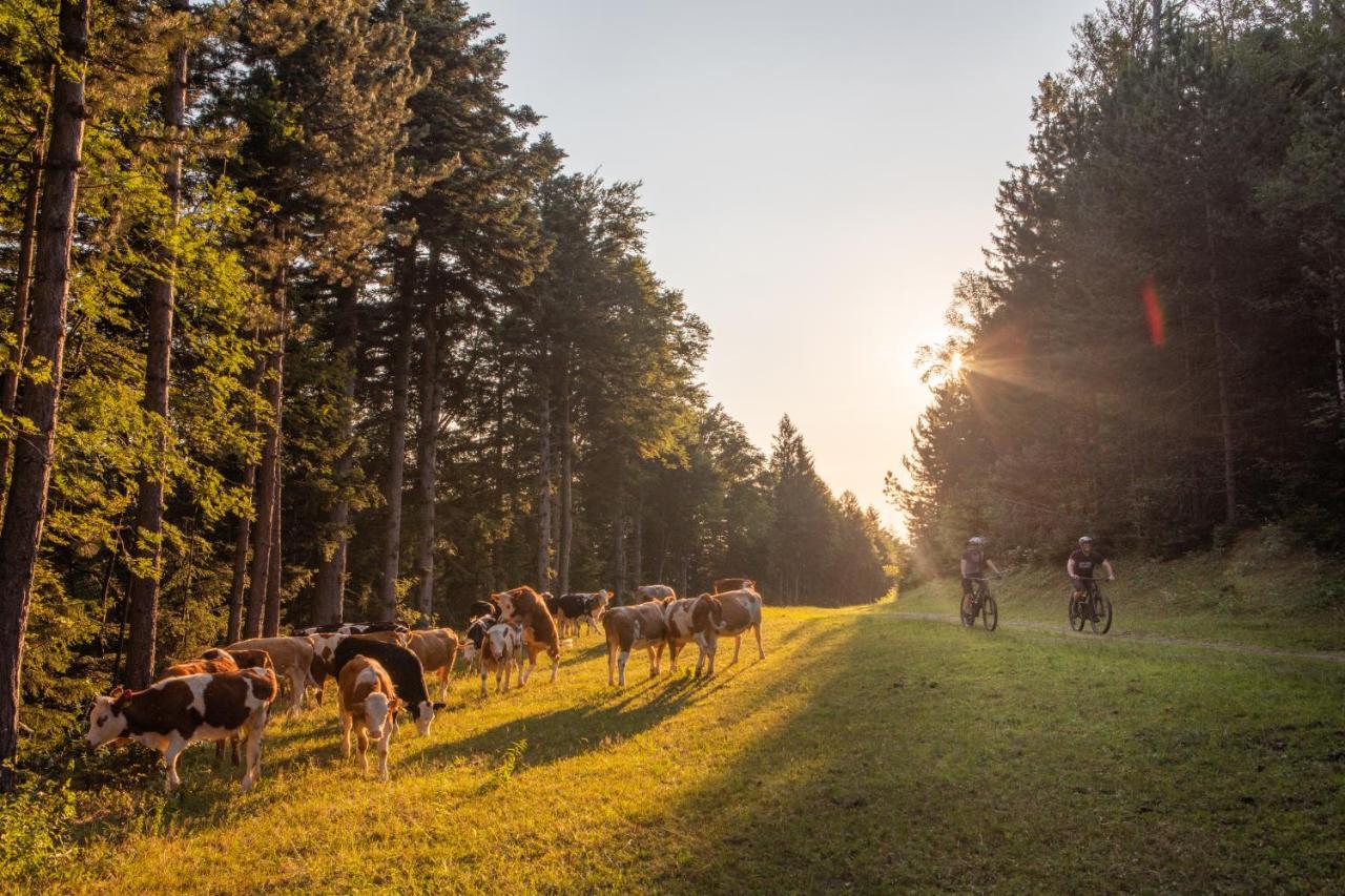 Pohorje Village Wellbeing Resort - Forest Hotel Videc Hočko Pohorje Εξωτερικό φωτογραφία