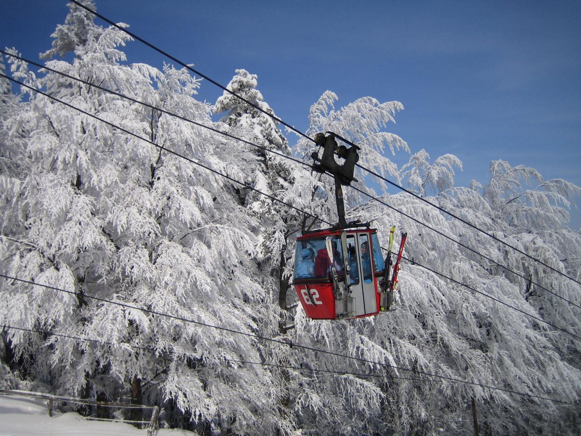 Pohorje Village Wellbeing Resort - Forest Hotel Videc Hočko Pohorje Εξωτερικό φωτογραφία